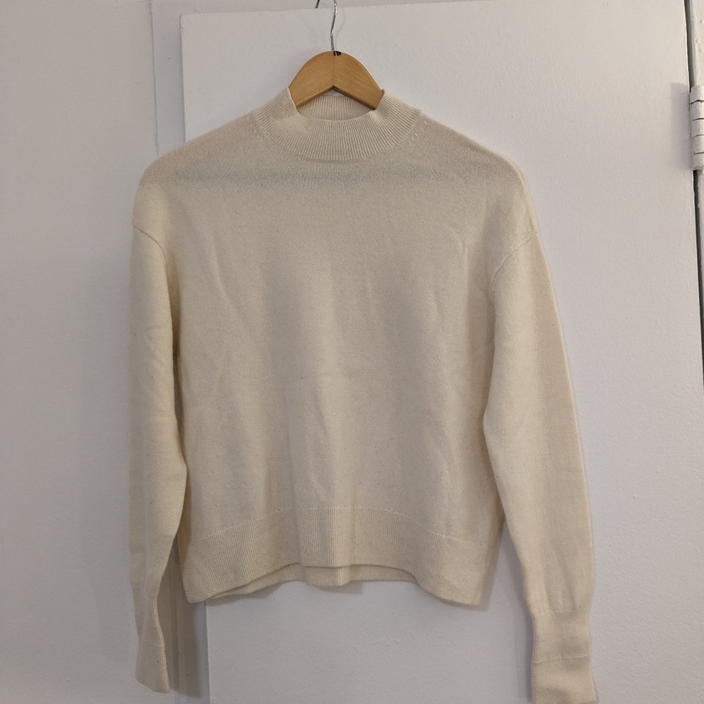 Everlane Cashmere Mockneck Sweater